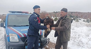 Jandarma yaban hayvanları doğada yalnız bırakmıyor