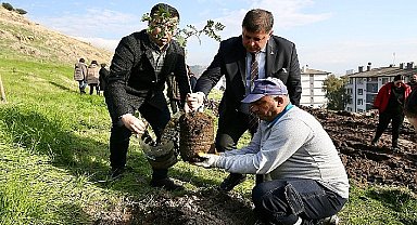 Karşıyaka'da ağaç varlığı hızla artmaya devam ediyor