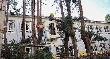 Karşıyaka'da çevre düzenleme çalışmaları hızla devam ediyor