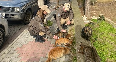 Keşan'da polis ekipleri sokak hayvanlarını besledi