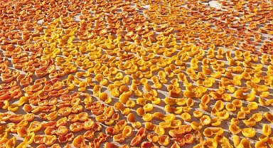 Kuru meyve ihracatında hedef 1 milyar dolar