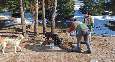 Malatya'da can dostları unutulmadı