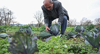 Nilüferli çiftçiler bilimsel üretimle kazanacak 