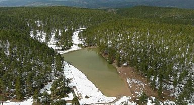 Ordu'da dereler akıp gitmiyor