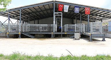 Sağlıklı ete ulaşım Büyükşehir Mezbahasında
