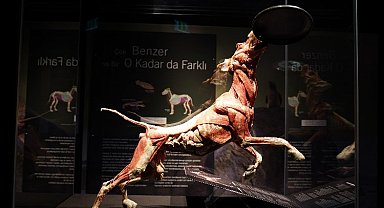 Sömestir tatilinde sıradışı deneyim