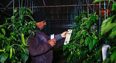 Antalya Büyükşehir'in çiftçiye destekleri sürüyor