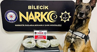 Bilecik'te zehir tacirlerine geçit yok