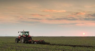Deprem bölgesine fide ve tohum desteği
