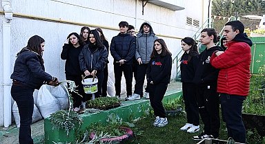 Ders arasında fide ektiler 