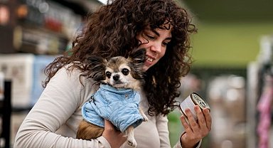 Evcil hayvan ebeveynleri de piyasa dengesizliklerine maruz