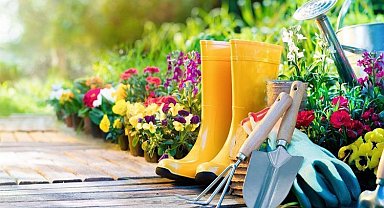 H-ÜFE verileri açıklandı... Peyzaj hizmetleri yıllık ve aylık revaçta