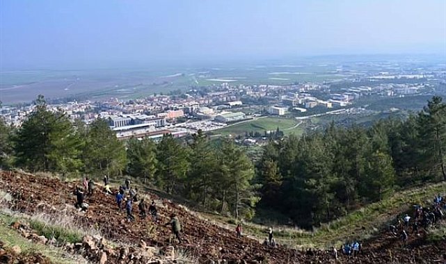 Hatay'da MKÜ 6 Şubat Deprem Şehitleri Hatıra Ormanı oluşturuldu