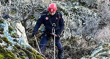 Kayseri Büyükşehir'den 'keçi' operasyonu
