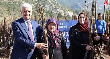 Muğla Büyükşehir Belediyesi çiftçiye fidan desteği