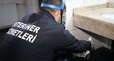 Okullarda ilaçlama çalışmaları tamamlandı 