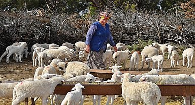 Süt üreticisine bembeyaz bir gelecek
