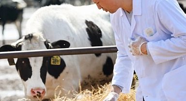 Tarımsal girdiler artışta... Veteriner harcamaları başı çekiyor
