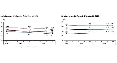 TÜİK: Mevsim etkisinden arındırılmış işsizlik oranı %8,8 seviyesinde gerçekleşti
