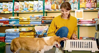 Türkiye'de yaşanan evcil hayvan ebeveynleri sağlıklı ve besici ürünler tercih ediyor
