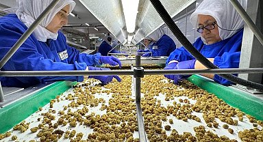 Türkiye organik ürün ihracatında sınırı aştı