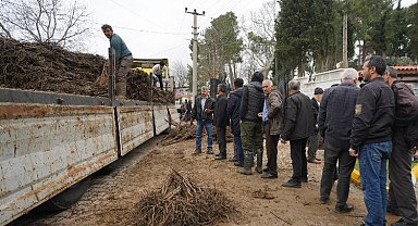 Üreticiler meyveciliğe yöneldi