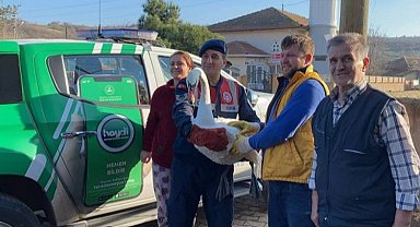 Uzunköprü'de yorgun düşen kuğu jandarma tarafından kurtarıldı
