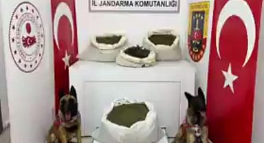 11 ilde 27 zehir taciri yakalandı