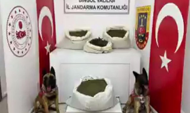 11 ilde 27 zehir taciri yakalandı