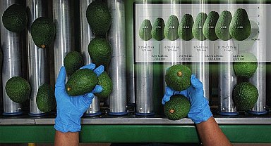 Bakan Böcek tarımda istihdamı arttıracak projeler ile geliyor 