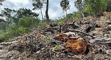 Başkan Topaloğlu: “Doğamızın göz göre göre katledilmesine seyirci kalmayacağız.