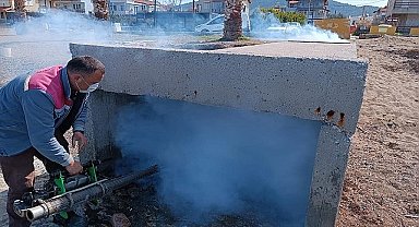 Burhaniye'de Uçkunla Mücadele Hız Kazandı