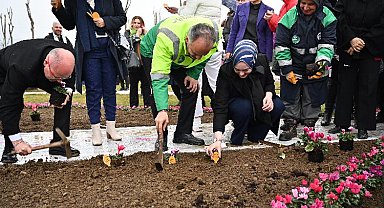 Bursa'da erguvan fidanları toprakla buluştu
