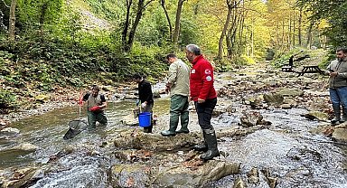 Büyükşehir'den dere ve tatlı sulara balık
