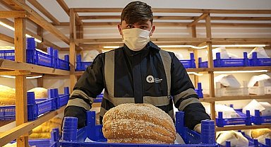 Büyükşehir'den tarımda biyolojik mücadele