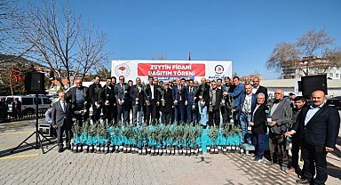 Denizli zeytinde kabuğunu kıracak