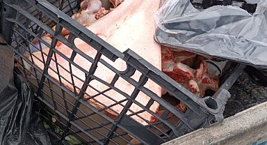 Düzce'de çöpe atılan şüpheli kemikler ekipleri harekete geçirdi