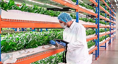 Emirates Flight Catering, dünyanın en büyük kapalı dikey çiftliği Bustanica'yı satın aldı