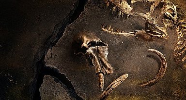 Gezegenimizde Yaşamış En Büyük Hayvanların Gizemini Konu Alan 'Kayıp Hayvanların Gizemli Geçmişi' 28 Mart Perşembe 22.00'de National Geographic Ekranlarında Başlıyor!