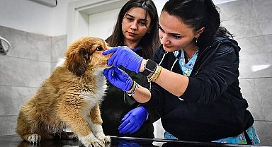 İzmir Büyükşehir Belediyesi HAYTAP'tan “tam not