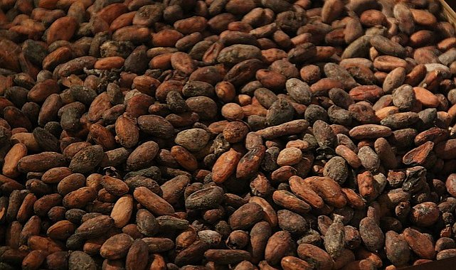 Kakao fiyatları bu yıl yüzde 135 artışla ton başına 10.000 doları aştı