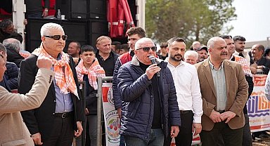 Kemalpaşa'da Boğa Güreşi Festivali