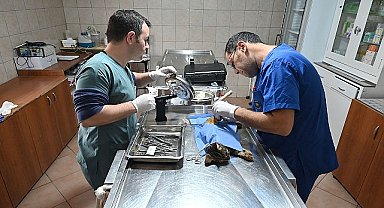 Kemer Belediyesi'nden “Can dostlarına