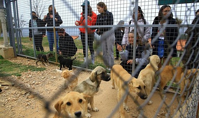 Muğla Büyükşehir Belediyesi 3 bin 174 hayvan sahiplendirdi