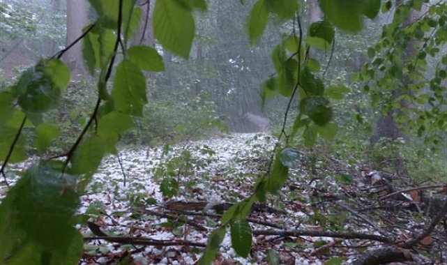 Muğla için kuvvetli sağanak uyarısı