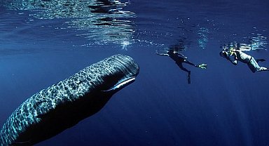 National Geographic NOW Seç-İzle Servisi Nisan Ayında 'Dünya Günü'nü Kutluyor!