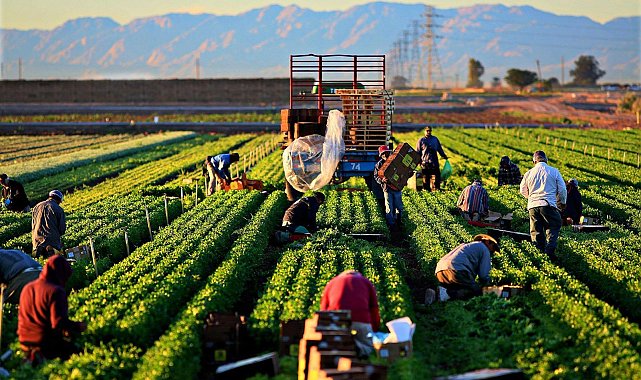 Producer prices of agricultural products increased by 58.29 percent annually in February