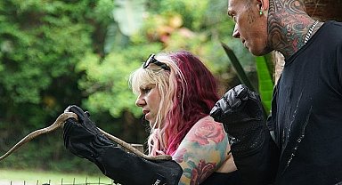 'Şehirdeki Yılanlar: Keşfedilmeyenler Özel' 16 ve 23 Mart Cumartesi 20.00'de National Geographic WILD Ekranlarında!