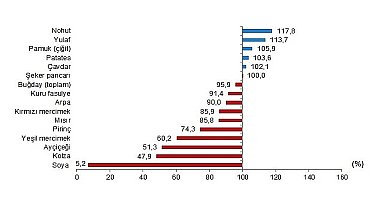 Tüik: Bitkisel ürünlerde en yüksek yeterlilik derecesi %683,5 ile fındıkta gerçekleşti
