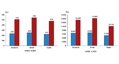TÜİK: Mevsimlik tarım işçilerinin ortalama günlük ücretleri 2023 yılında %114,6 arttı